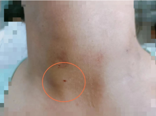 62e87fcfda683.png image.png